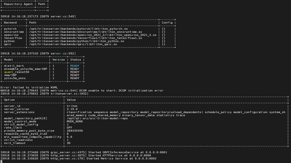 ../../../../_images/triton_launch_within_container.png